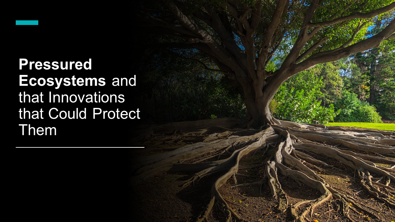 Pressured Ecosystems and that Innovations that Could Protect Them