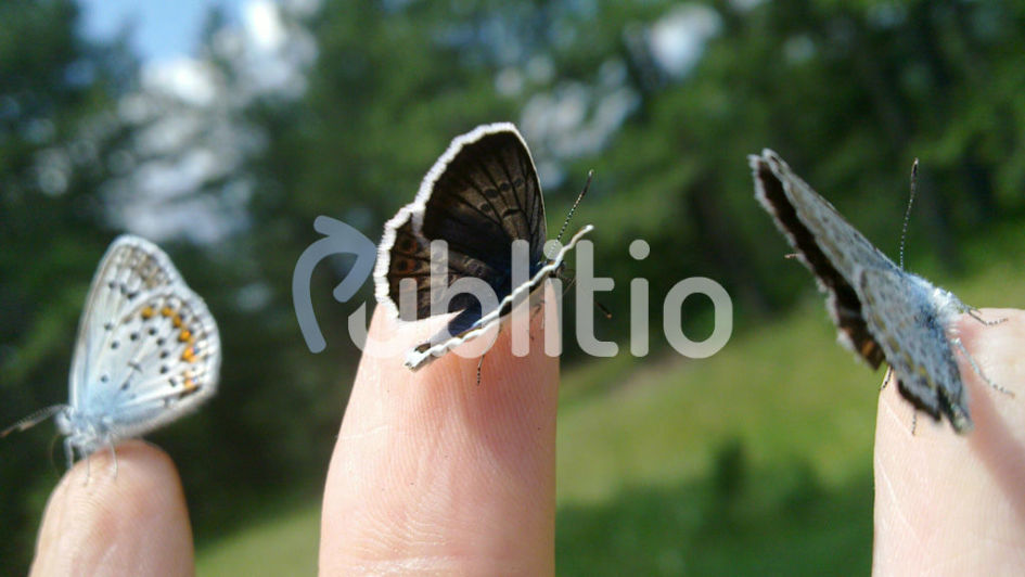 publitio_watermark_center.jpg