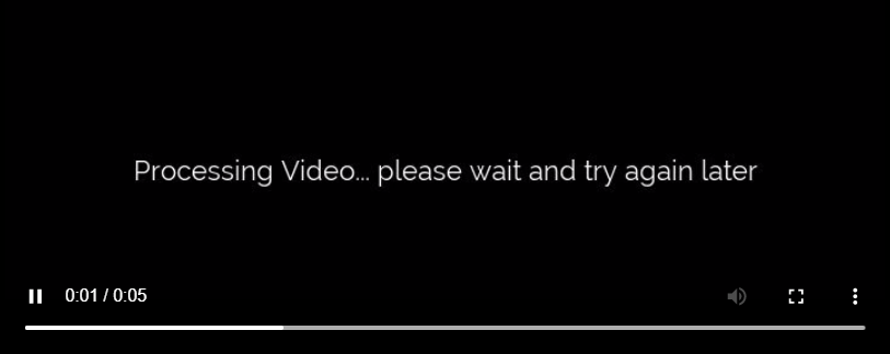 procesingVideo.png