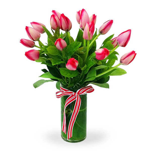 Bliss Blossom