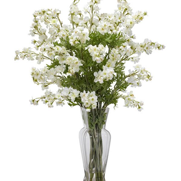 Golden Gladiolus