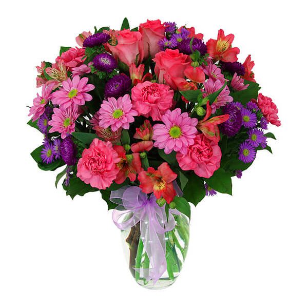 Vibrant Violet