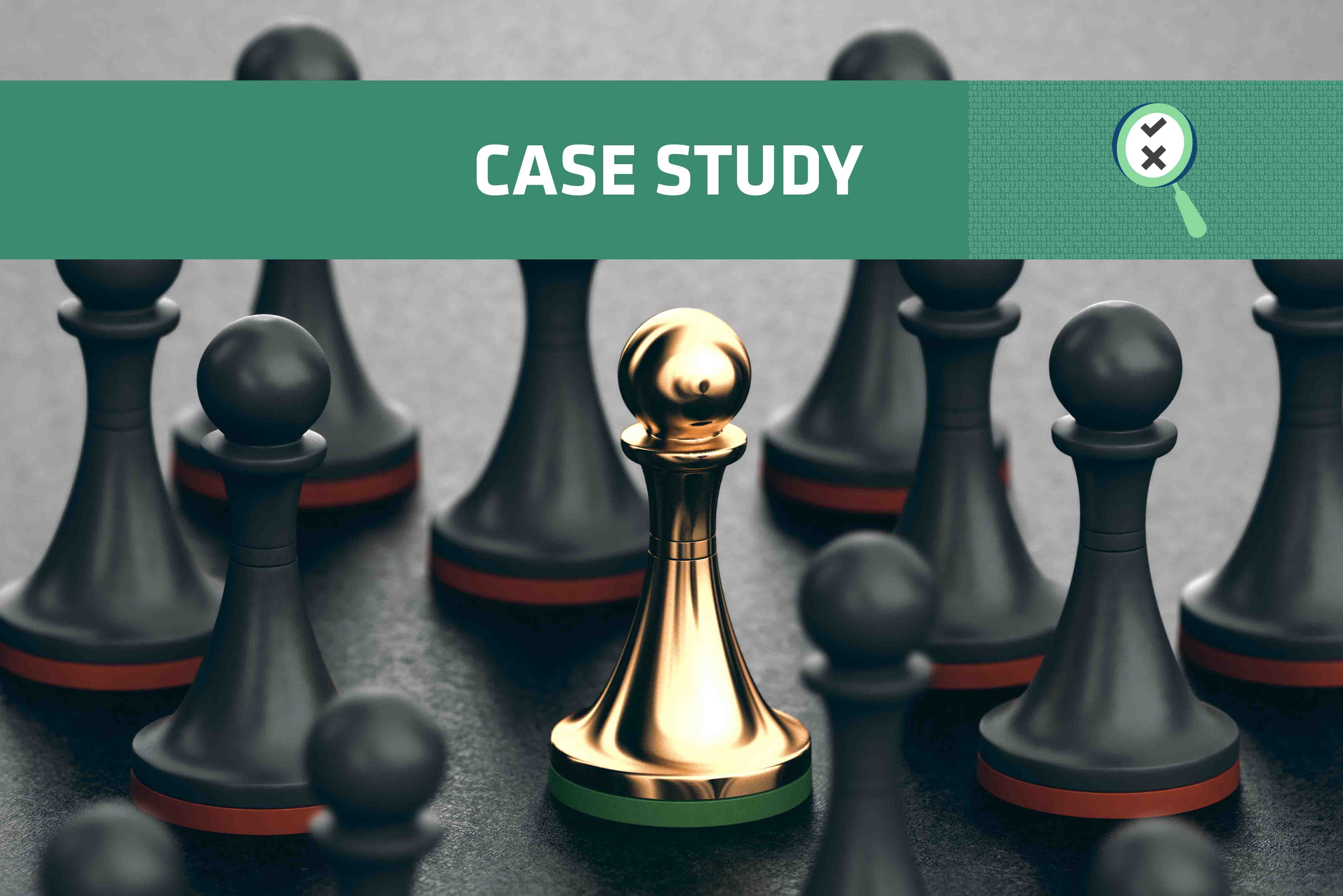 Public Sector Case Study