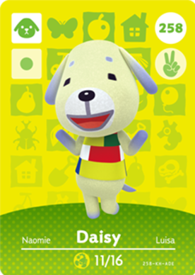 Daisy