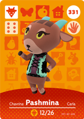 Pashmina