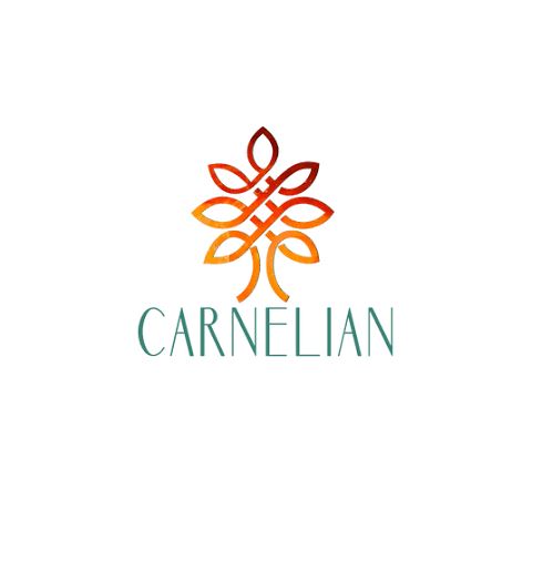 Carnelian Asset Management