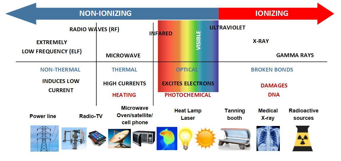 Harmful Effects Of Radiation on Humans WISURU