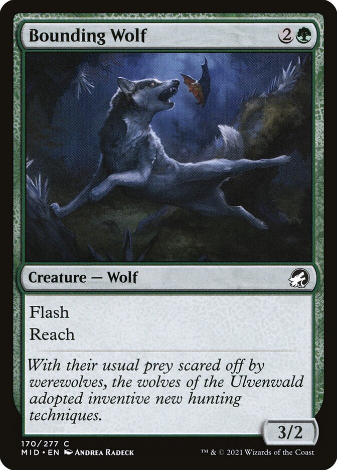 Bounding Wolf MID-170 Innistrad: Midnight Hunt Magic card