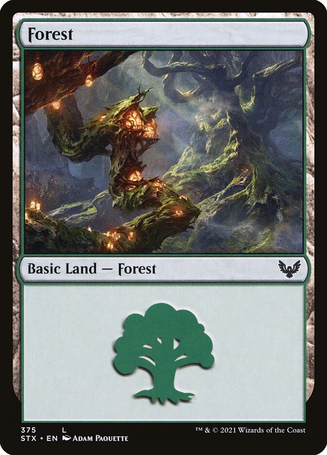 Forest STX-375 Strixhaven: School of Mages Magic card