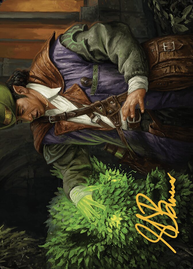 Hedge Whisperer // Hedge Whisperer AMKM-14 Murders at Karlov Manor Art Series Magic card