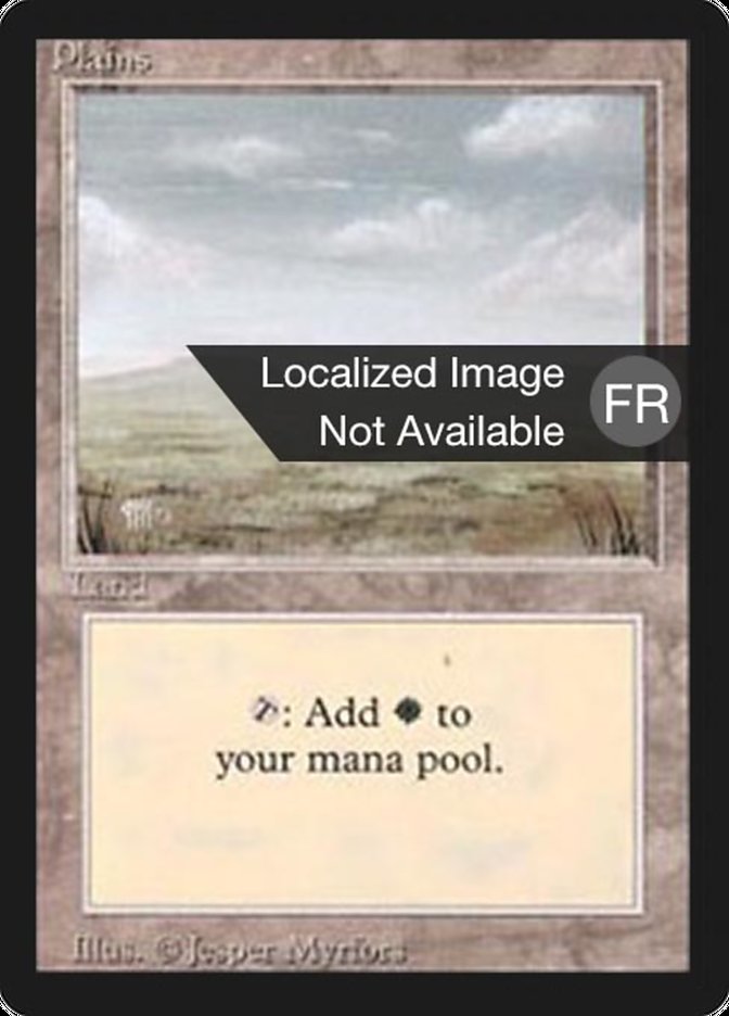 Plains FBB-293 Foreign Black Border Magic card
