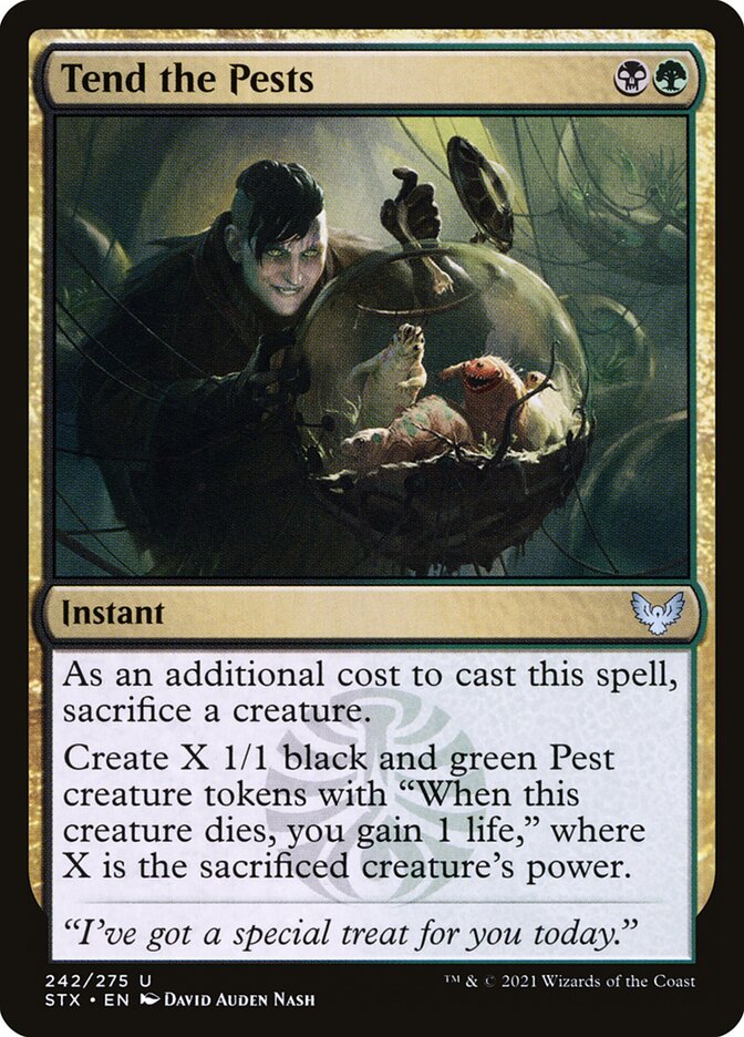 Tend the Pests STX-242 Strixhaven: School of Mages Magic card
