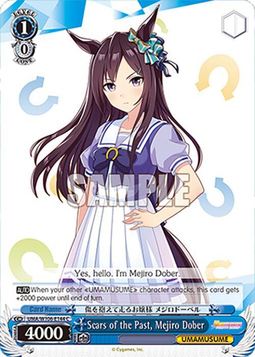 Scars of the Past Mejiro Dober UMA/W106-E144 Umamusume: Pretty Derby Card
