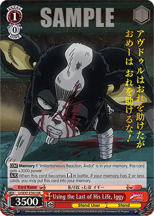 Using the Last of His Life Iggy JJR JJ/SE41-E36J JJR JoJo's Bizarre Adventure: Stardust Crusaders Premium Booster Card