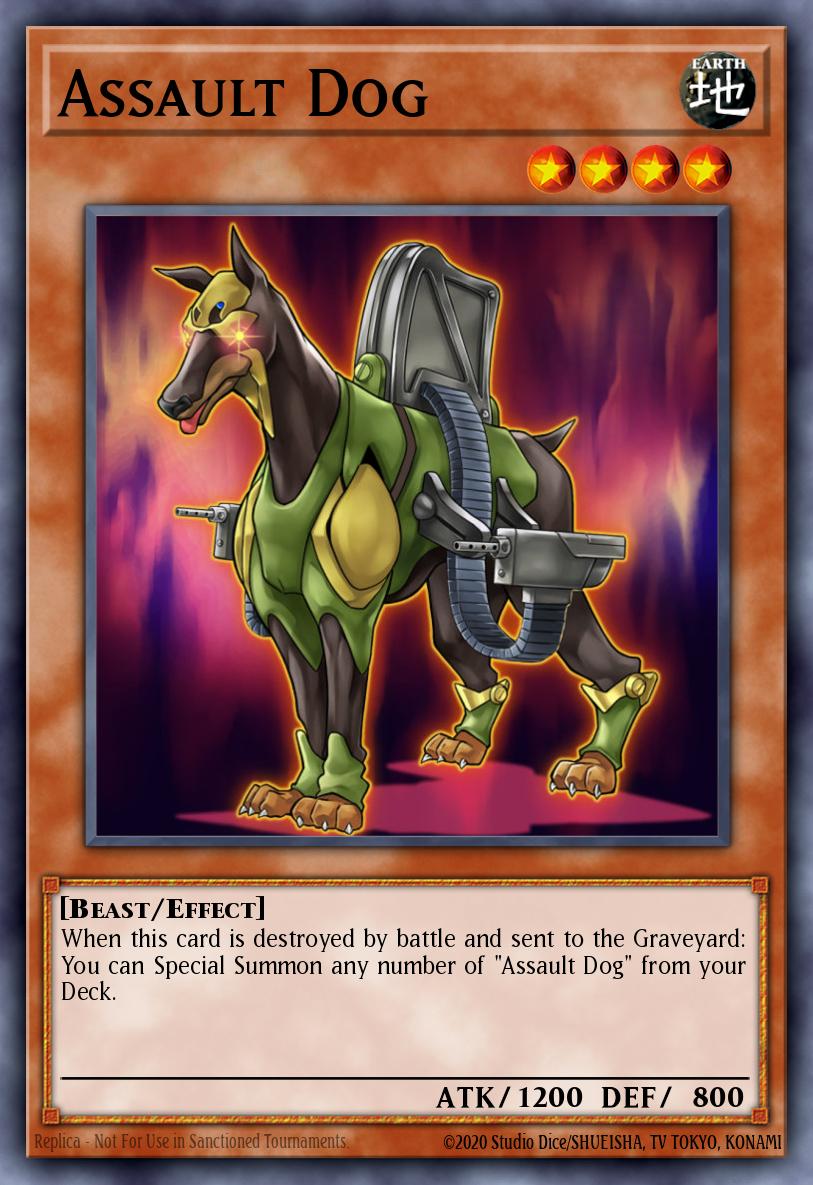 Assault Dog Super Rare DRLG-EN033 Dragons of Legend Yugioh card