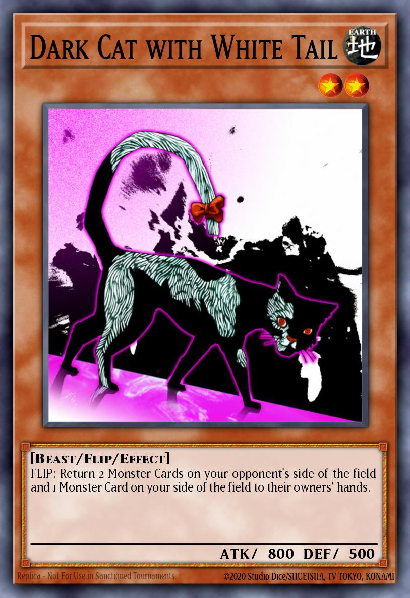 Dark Cat with White Tail Common DR1-EN138 Dark Revelation Volume 1 Yugioh card