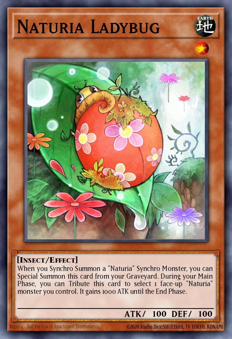 Naturia Ladybug Duel Terminal Normal Parallel Rare DT04-EN030 Duel Terminal 4 Yugioh card