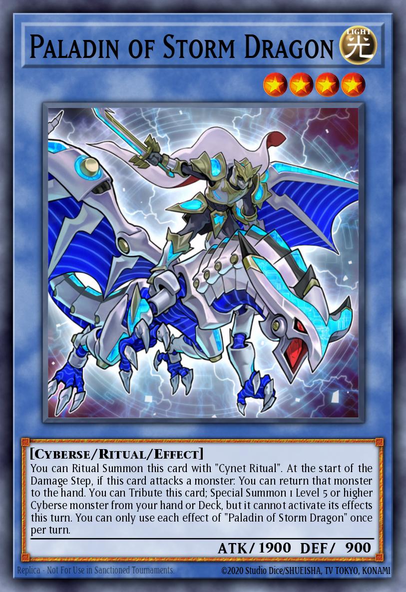 Paladin of Storm Dragon Common MP19-EN096 2019 Gold Sarcophagus Tin Mega Pack Yugioh card
