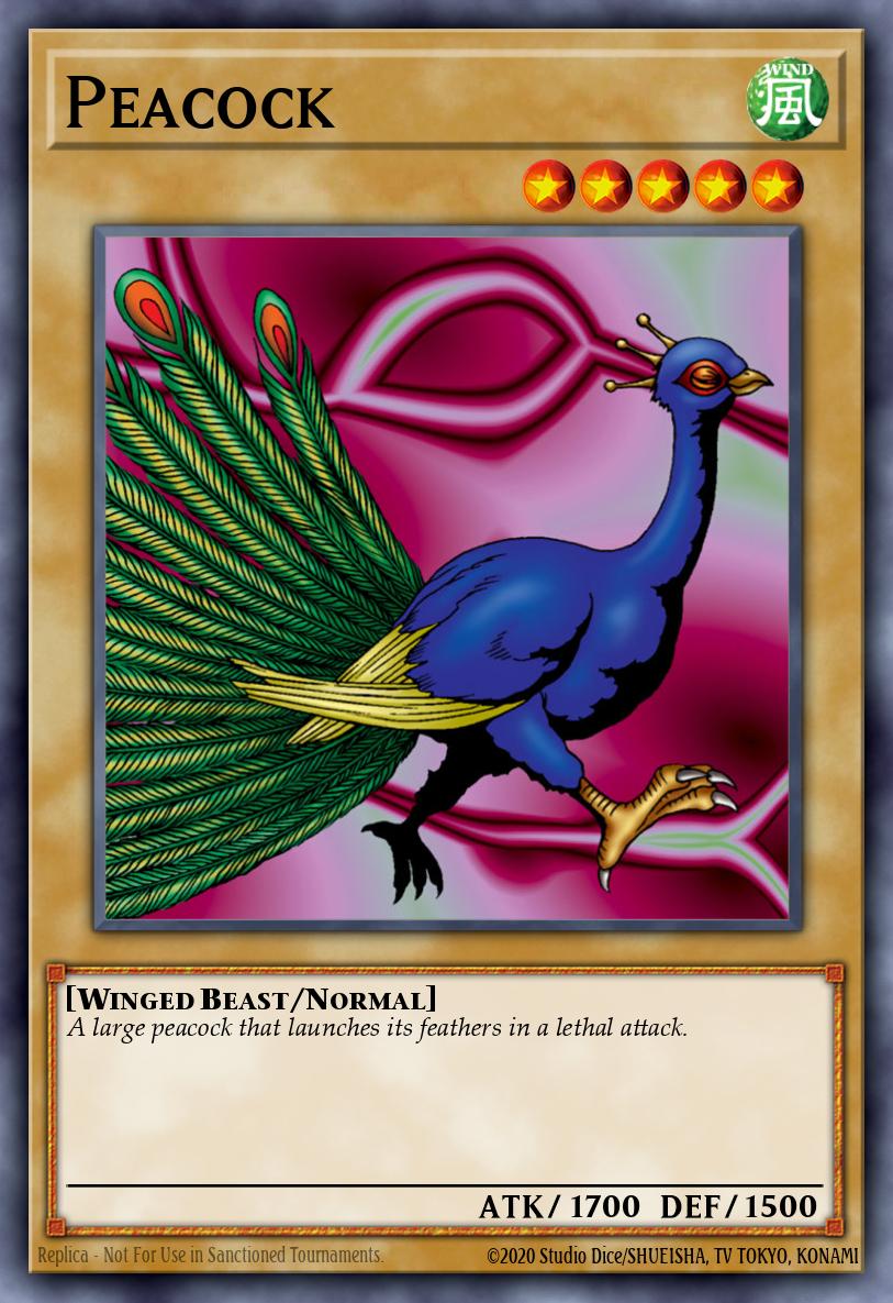 Peacock Common MRL-011 Magic Ruler Yugioh card