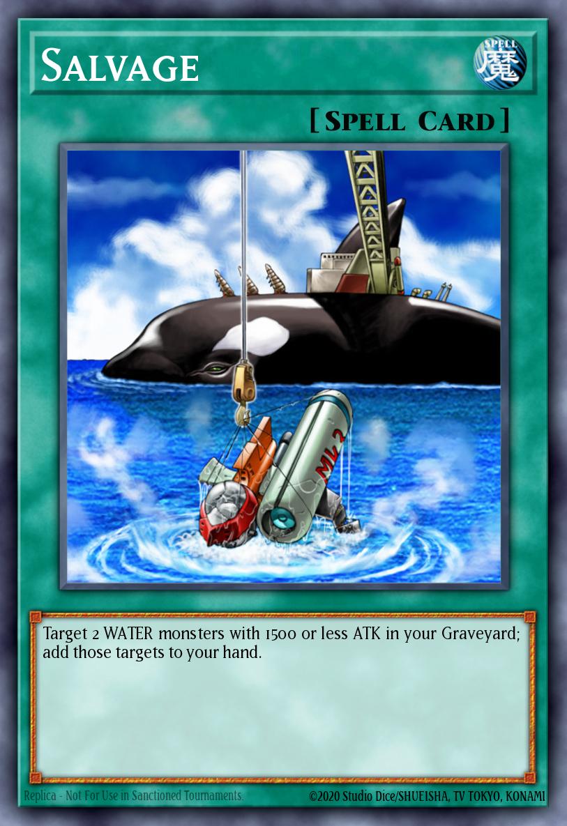 Salvage Common DR2-EN097 Dark Revelation Volume 2 Yugioh card
