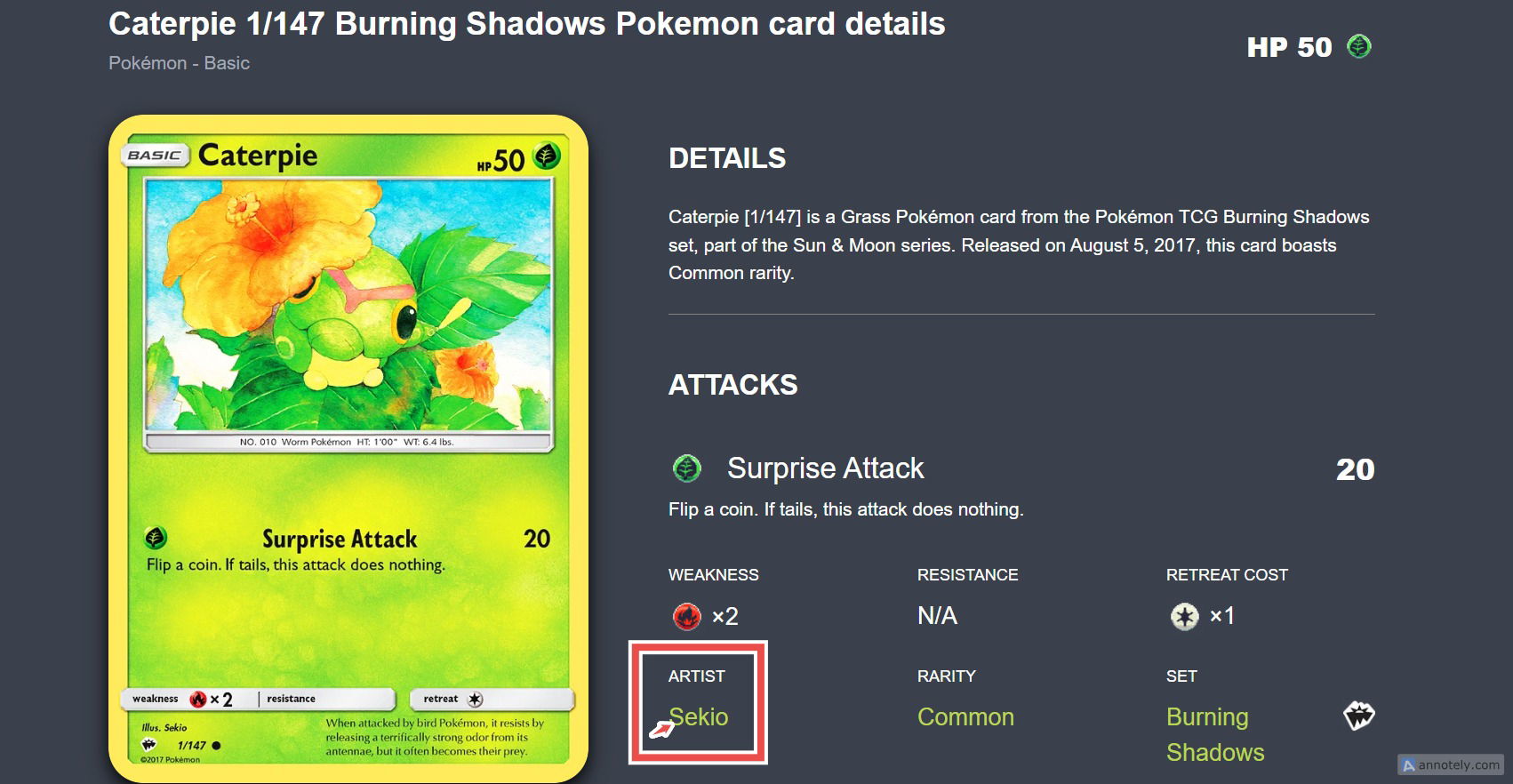 How to View All Pokemon Cards From a Specific Artist — step 5