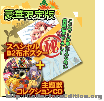 Sengoku Hime 3: Tenka o Kirisaku Hikari to Kage (Limited Edition)