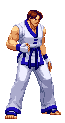 Kim Kaphwan in Capcom vs. SNK 2