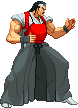 Ryuhaku Todoh in Capcom vs. SNK 2
