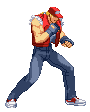 Terry Bogard in Capcom vs. SNK 2