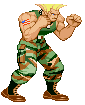 Guile in Capcom vs. SNK: Millennium Fight 2000