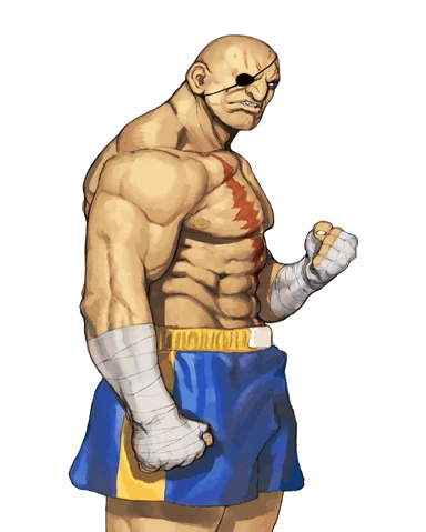 Sagat