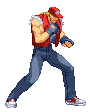 Terry Bogard in Capcom vs. SNK: Millennium Fight 2000