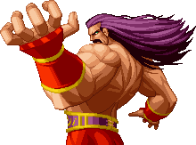 Wolfgang Krauser