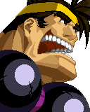 Gaira