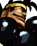 Gaira