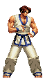 Kim Kaphwan in SNK vs. Capcom: SVC Chaos