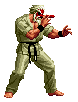 Mr. Karate in SNK vs. Capcom: SVC Chaos