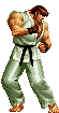 Ryu in SNK vs. Capcom: SVC Chaos