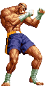 Sagat in SNK vs. Capcom: SVC Chaos
