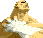 Sagat