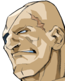 Sagat