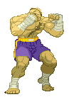 Sagat in Street Fighter Alpha 3