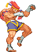 Adon in Street Fighter Alpha