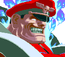 M. Bison