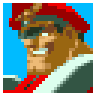 M. Bison