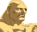 Sagat