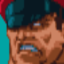 M. Bison