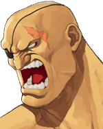 Sagat