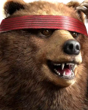 Kuma II
