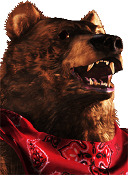 Kuma